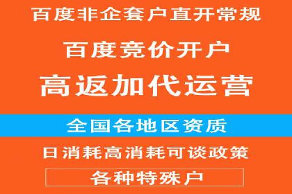 某行业巨头背后的百度竞价代运营公司
